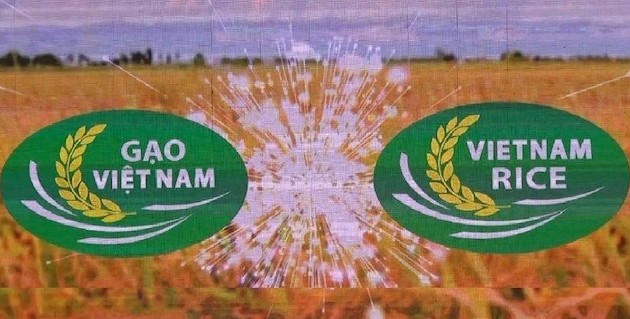 Third Vietnam Rice Festival opens