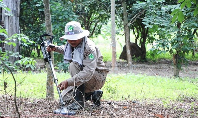 Vietnam makes progress in landmine clearance 