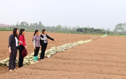 Bac Ninh supports women’s startups