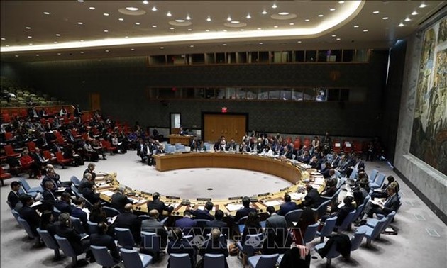 Vietnam prepared for a non-permanent seat at UNSC