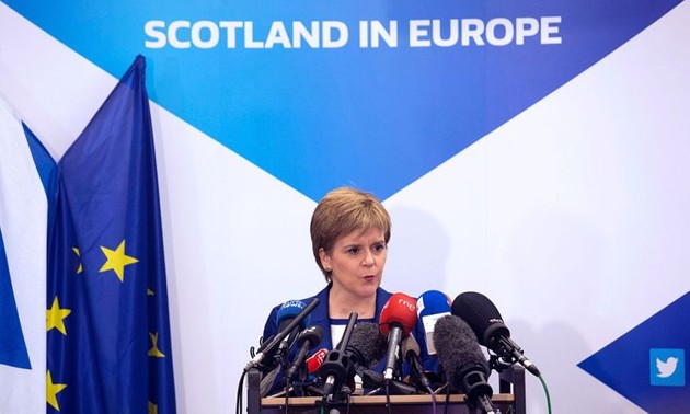 Scottish leader Sturgeon seeks any option to stop Brexit
