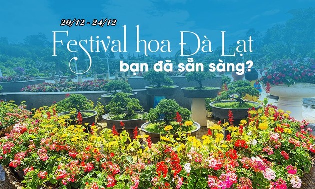 Festival makes Da Lat flower city shine