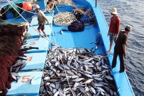 EC acknowledges Vietnam's improvement in combating IUU fishing