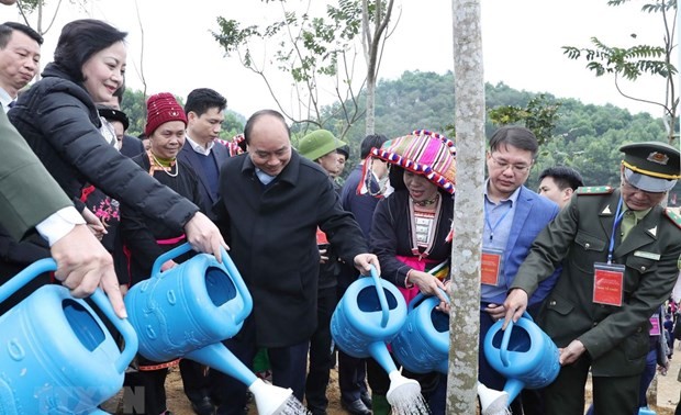 Tree planting festival launched nationwide