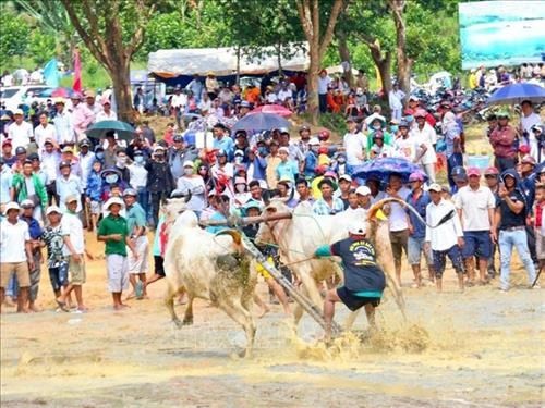 An Giang province's Ox Racing Festival aims towards international event