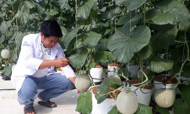 Binh Thuan’s farm produce finds way to world market