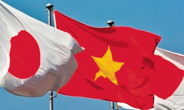 Vietnam plays important role in Japan’s foreign policy toward ASEAN: Japanese official 