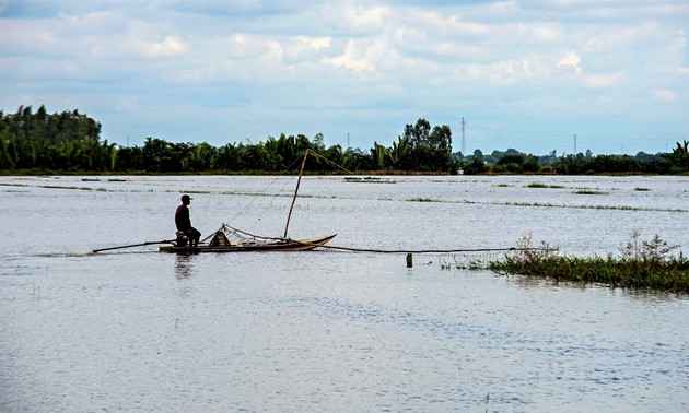 Farmers in Mekong Delta province of An Giang wait for floodwaters