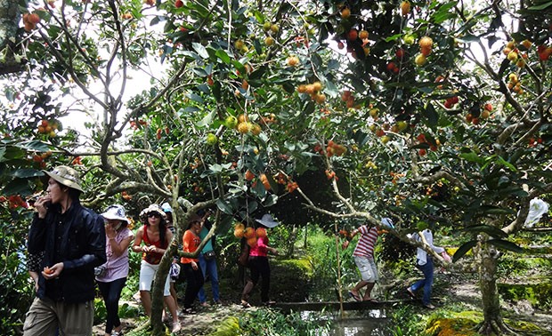 Ba Ria-Vung Tau develops eco-tourism