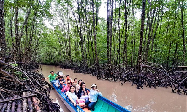 Mangrove trees help farmers in Ca Mau escape poverty