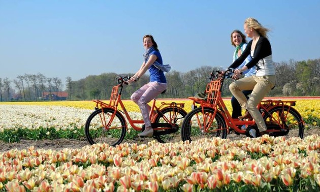 How cycling becomes a symbol of Dutch culture