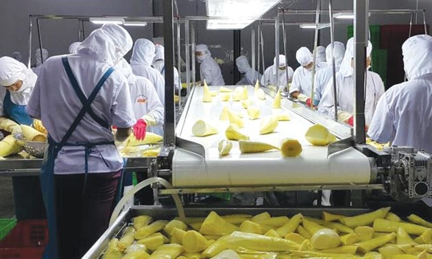 Vietnam becomes a major supplier of fruits, agricultural products