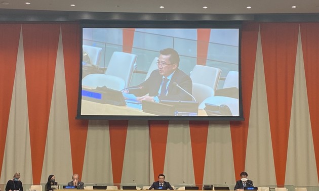 Vietnam chairs UNSC Working Group meeting on international courts