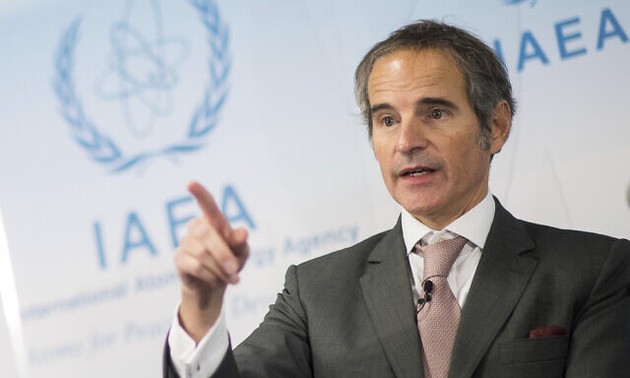 IAEA helps Saudi Arabia, Egypt develop nuclear power