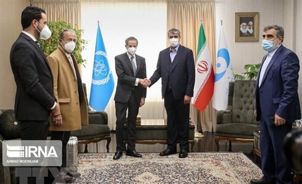 IAEA, Iran moving into more cooperative relationship: IAEA chief