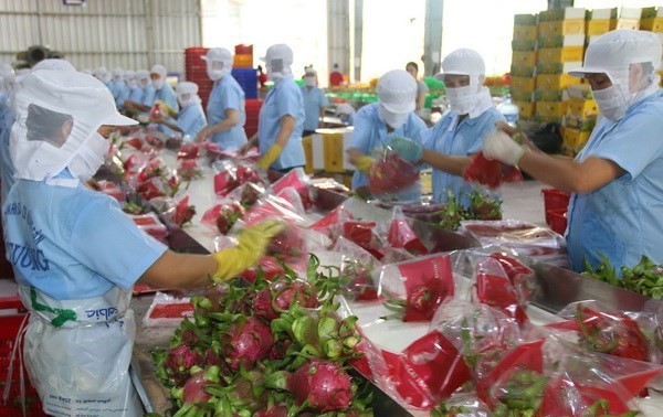 Vietnam strengthens farm produce exports to China