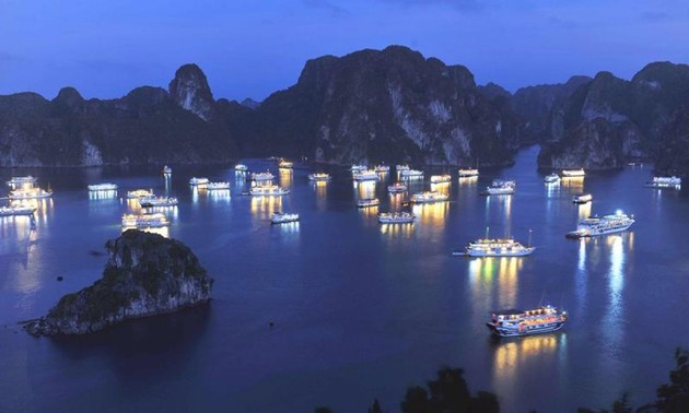 Night cruises to be launched in Ha Long city