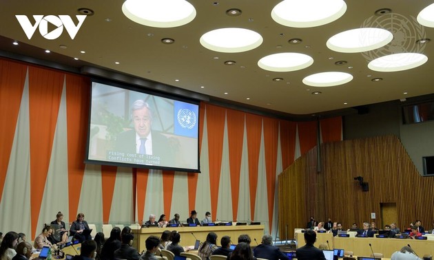 Ambassador affirms Vietnam's support for UN humanitarian efforts