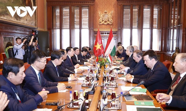 Vietnam, Hungary have huge potential for cooperation