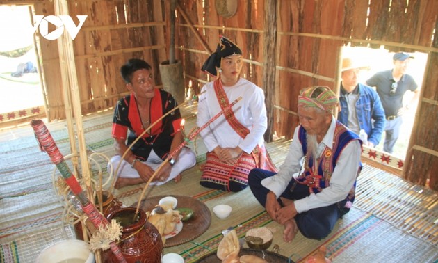 Binh Dinh province preserves ethnic cultures