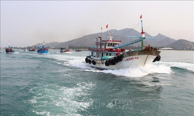 Vietnam steps up measures to combat IUU fishing