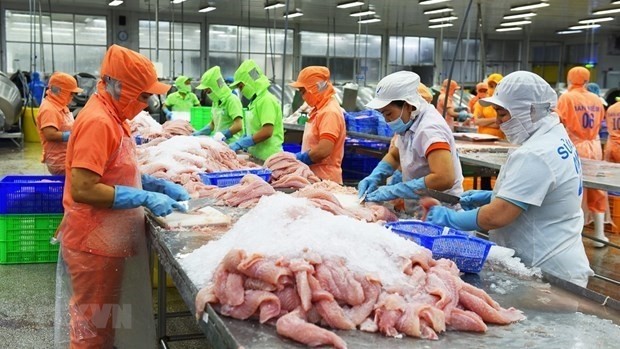 Mexico becomes Vietnam's third largest tra fish importer 