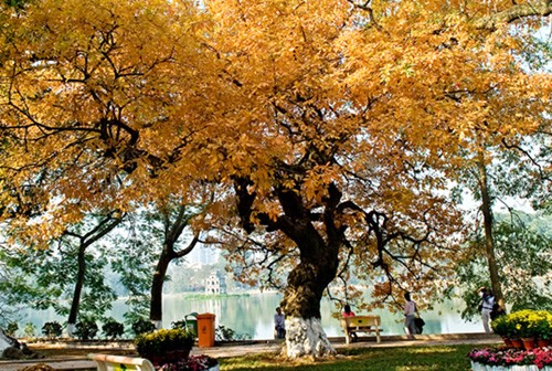 CNN hails Hanoi in autumn as the best place to visit