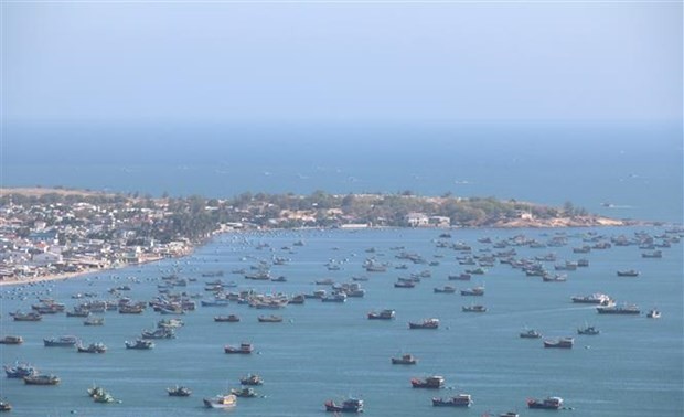 Phu Quy island builds green tourism