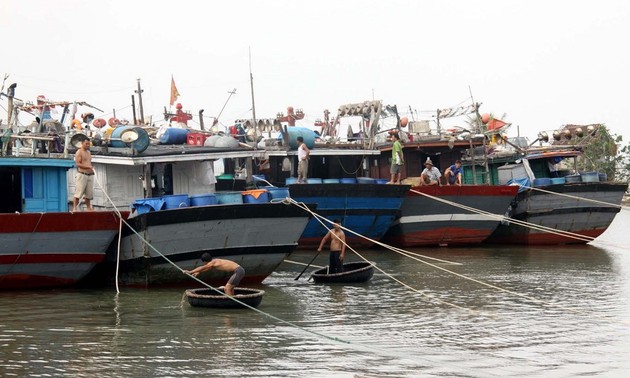 “Green ports” increase Thua Thien-Hue’s fishery product values