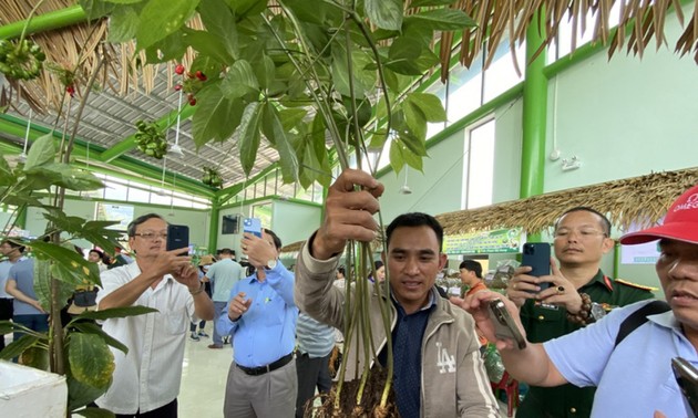 Second ginseng fair to take place in February  