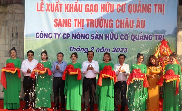 Quang Tri exports first batch of organic rice to EU