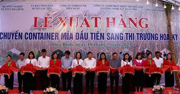 Hoa Binh ships first batch of fresh sugarcane to US