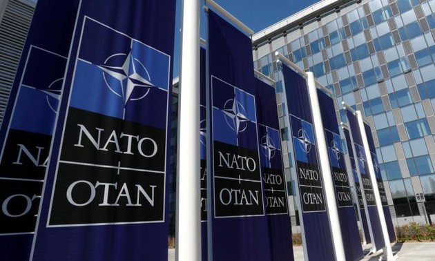 Finland becomes new member of NATO