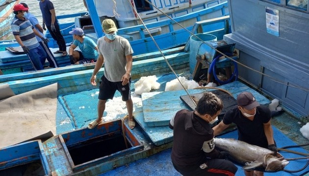 Government establishes national fund for fishery development in Khanh Hoa