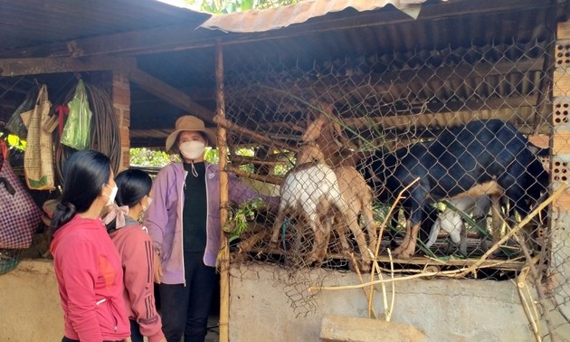 Ethnic women in Dak Lak province helped with livelihoods
