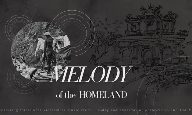 MELODY OF THE HOMELAND - Vietnam's Youth Volunteer Force