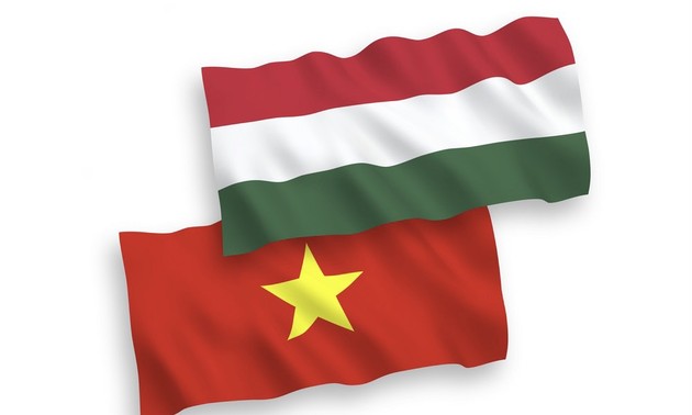 Hungary interested in enhancing cooperation with Vietnam: Parliamentary State Secretary 