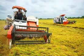 Priorité à l’investissement dans l’agriculture, la paysannerie et la ruralité
