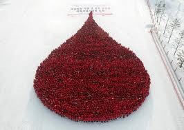 La plus grande goutte de sang du monde à Hanoï 