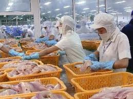 Un importateur australien salue la qualité des produits aquatiques vietnamiens
