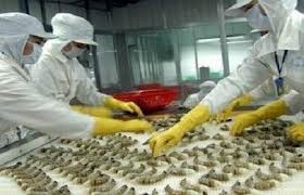 Etats-Unis: le Vietnam ne pratique pas de dumping sur ses crevettes