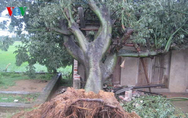 Des localités vietnamiennes réparent les dégâts causés par la tempête Mangkhut