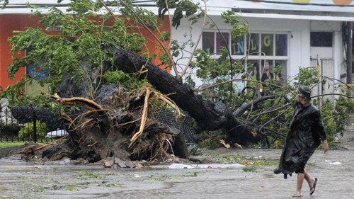 Le super-typhon Haiyan a ravagé les Philippines
