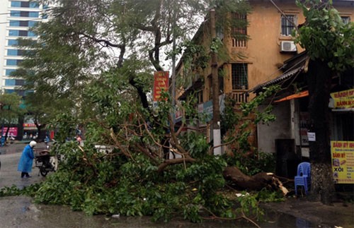 Le typhon Haiyan touche Haiphong et Quang Ninh