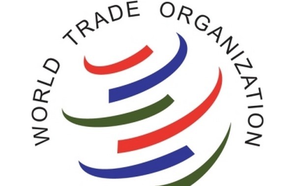 Le Vietnam observe pleinement ses engagements avec l’OMC