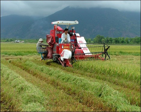 L’agriculture vietnamienne à l’heure de l’intégration: opportunités et défis