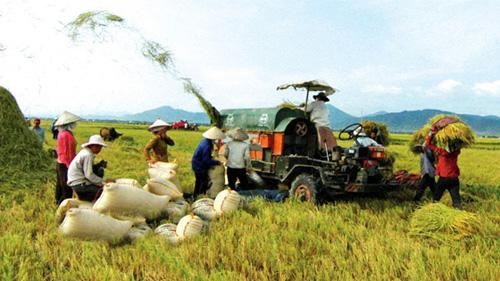 Accentuer la restructuration agricole du Vietnam en 2013