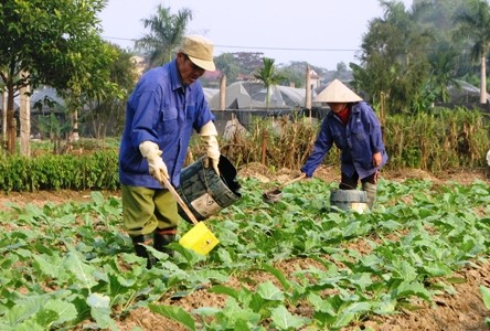 Former la main d’oeuvre rurale à Yên Bai