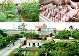 Quang Ninh intensifie l’instauration de la nouvelle ruralité