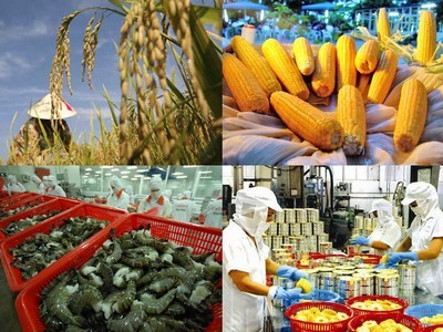 Plus 11% pour les exportations de produits agricoles, sylvicoles et aquacoles   